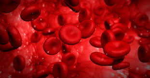 Hematology Oncology